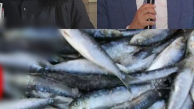 صورة والي جهة مراكش-أسفي السيد فريد شوراق يعيد الاعتبار للشاب المراكشي رمز التحدي ضد الإحتكار والغلاء في سوق السمك.