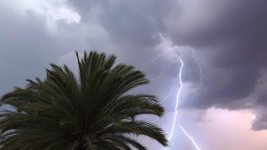 صورة نشرة إنذارية من مستوى يقظة “أحمر” و”برتقالي” من المديرية العامة للأرصاد الجوية