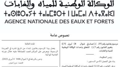 صورة نشر مرسوم رقم 2.25.302 متعلق بإحداث الوكالة الوطنية للمياه والغابات بالجريدة الرسمية
