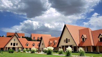 صورة التعليم العالي في المغرب ركيزة أساسية لتحقيق التنمية الاقتصادية والاجتماعية والثقافية