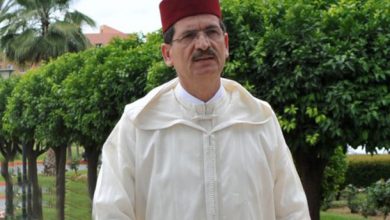 صورة محمد فوزي والي مفتش عام للإدارة الترابية بوزارة الداخلية المغربية: رائد الإصلاح والشفافية في الإدارة الترابية المغربية