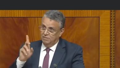 صورة وهبي يكشف عن منح فيلا لرئيس جمعية حماية المال العام خلال مناقشة قانون المسطرة الجنائية