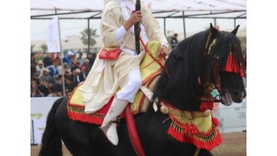 صورة سربة بدر زريزع تتوج بالذهب للمرة الثانية في بطولة كأس الحسن الثاني للفروسية التقليدية