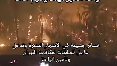 صورة حريق مهول يلتهم مساحات واسعة من واحة أكادير الهناء بإقليم طاطا