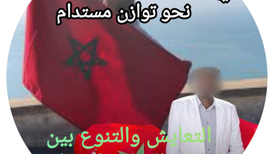 صورة حقوق الإنسان والهوية الوطنية في مواجهة التحديات المعاصرة: نحو توازن مستدام