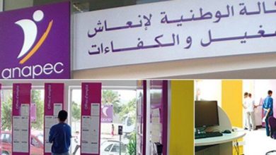 صورة إعفاء مديرة “أنابيك” بسبب ضعف الأداء وتكليف وفاء عسري بالنيابة