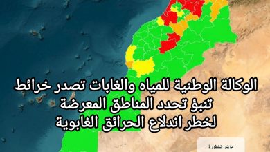 صورة الوكالة الوطنية للمياه والغابات تصدر خرائط تنبؤ تحدد المناطق المعرضة لخطر اندلاع الحرائق الغابوية