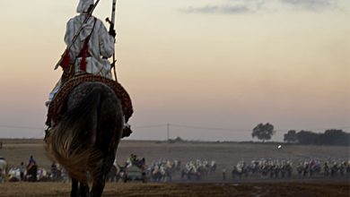 صورة ساكنة سيدي موسى المجدوب تنتفض ضد تحويل موسمها الروحي إلى مهرجان سياسي