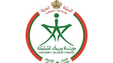 صورة اليوم الوطني للمهاجر.. مؤسسة وسيط المملكة تؤكد التزامها بجعل قضايا الجالية محورا لوساطتها (بلاغ)