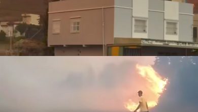صورة حرائق غابات الدردارة بإقليم شفشاون تشتعل وسط جهود مكثفة للسيطرة عليها