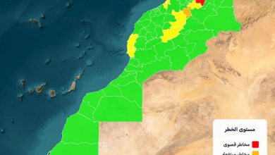 صورة الوكالة الوطنية للمياه والغابات تصدر خرائط تنبؤ تحدد بدقة المناطق الحساسة والمعرضة لخطر اندلاع الحرائق الغابوية