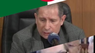 صورة الجزائر بين صراعات النفوذ والأمن: داخليًا على مفترق طرق الاستقرار والسياسة