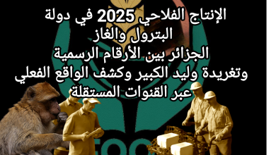 صورة الإنتاج الفلاحي في دولة البترول والغاز الجزائر 2025 بين الأرقام الرسمية وتغريدة وليد الكبير وكشف الواقع الفعلي عبر القنوات المستقلة