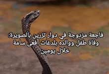 صورة فاجعة مزدوجة في دوار تزرين بالصويرة: وفاة طفل ووالده بلدغات أفعى سامة خلال يومين