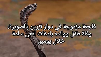 صورة فاجعة مزدوجة في دوار تزرين بالصويرة: وفاة طفل ووالده بلدغات أفعى سامة خلال يومين