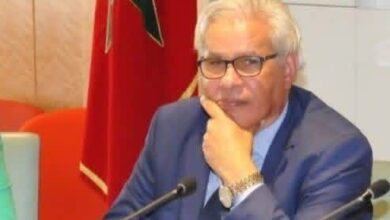 صورة الشباب والاحتجاج … بين حيوية المجتمع والحاجة إلى إعادة ترتيب الأولويات