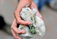 صورة مكناس… الحكم الصادر في حق 15 تلميذا في قضية مقتل زميلهم.