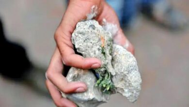 صورة مكناس… الحكم الصادر في حق 15 تلميذا في قضية مقتل زميلهم.