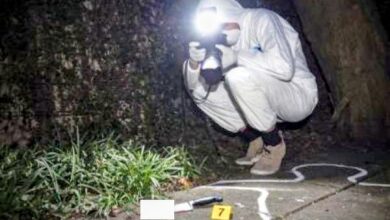 صورة استنفار أمني بعد العثور على جثة شاب داخل مقبرة.