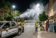 صورة بنسليمان: “غزو” البعوض يؤرق ساكنة “شمس المدينة” و”حي السلام”.. والساكنة تتساءل عن ميزانية المبيدات.