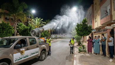 صورة بنسليمان: “غزو” البعوض يؤرق ساكنة “شمس المدينة” و”حي السلام”.. والساكنة تتساءل عن ميزانية المبيدات.