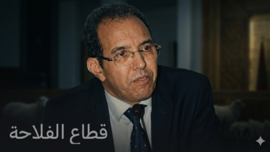 صورة بعد “زلزال” أسعار الأضاحي: إعفاء المدير الجهوي للفلاحة البيضاء-سطات.. كبش فداء أم بداية محاسبة؟