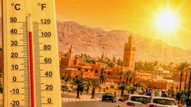 صورة الأرصاد الجوية: موجة حر قوية تضرب عدة أقاليم بالمملكة ودرجات الحرارة تصل إلى 44 درجة.