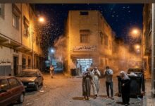 صورة بنسليمان: غزو البعوض والحشرات يثير استياء الساكنة.. ومطالب بتدخل “سلطة الرقابة” أمام صمت المجلس الجماعي.