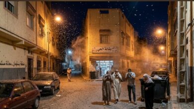 صورة بنسليمان: غزو البعوض والحشرات يثير استياء الساكنة.. ومطالب بتدخل “سلطة الرقابة” أمام صمت المجلس الجماعي.