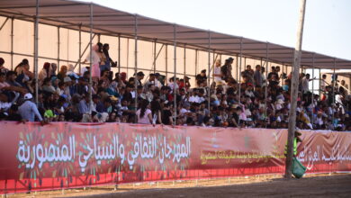 صورة مهرجان المنصورية.. تنظيم محكم وإقبال كبير يعكسان نجاح الدورة