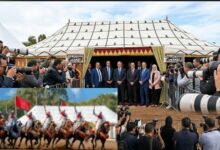 صورة تراب عمالة المحمدية: موسم “سيدي موسى المجدوب”.. حين تسحب “السياسة” البساط من “التبوريدة”.