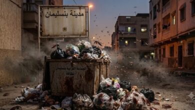 صورة صيف بنسليمان تحت رحمة “البعوض والصراصير”… والساكنة تتساءل: أين ميزانية رش المبيدات؟.
