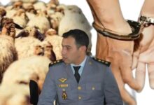 صورة في عملية أمنية نوعية.. الدرك الملكي ببنسليمان يفكك عصابة “الفراقشية” بـ “الزيايدة”