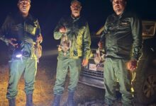 صورة الكفاءة قبل الشعارات… ومعاد العلام نموذج للحارس الجامعي الفاعل!
